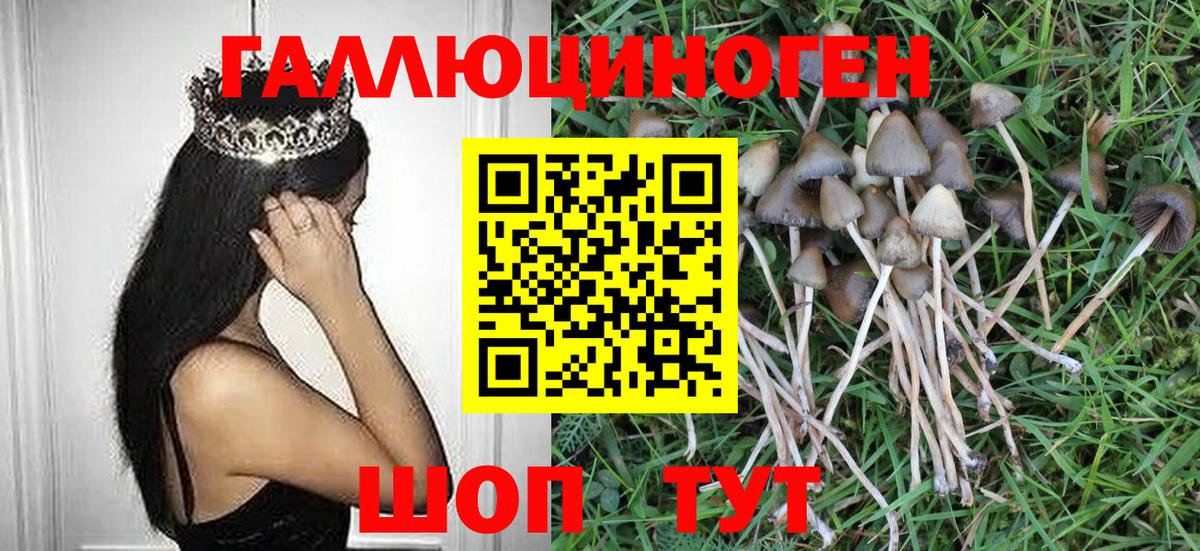Галлюциногенные грибы MAGIC MUSHROOMS  Вход с VPN  Псилоцибиновые грибы MAGIC MUSHROOMS  Грязи 